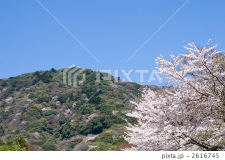 春の里山と青空 2616745