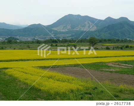 信州の春・木島平遠望 2617738