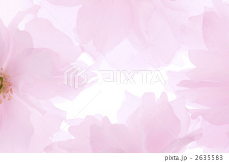 桜のバックグラウンド 2635583