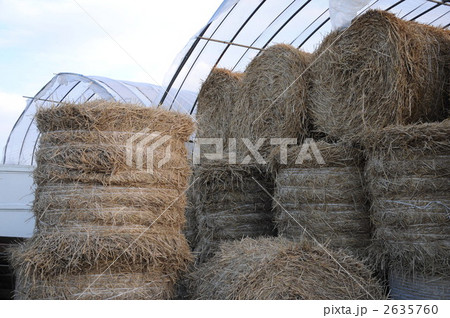 干草ロール 2635760