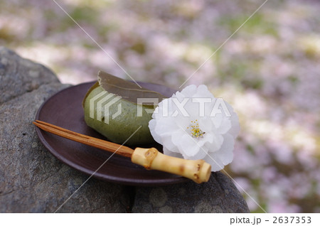 外で食べるよもぎ柏餅 2637353