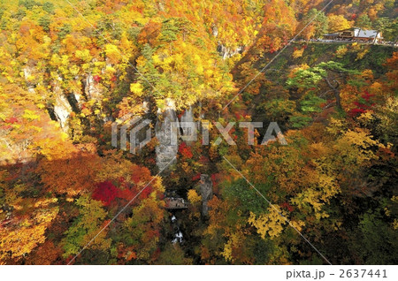 宮城県鳴子峡谷紅葉・横 宮城県鳴子峡谷紅葉・横 2637441
