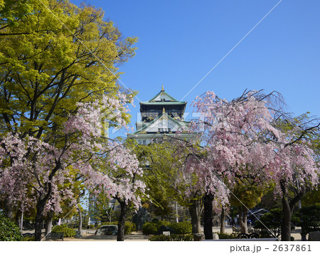 大阪 大阪城天守閣 大阪 大阪城天守閣 2637861