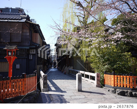 京都 祇園白川巽橋 桜 2637876