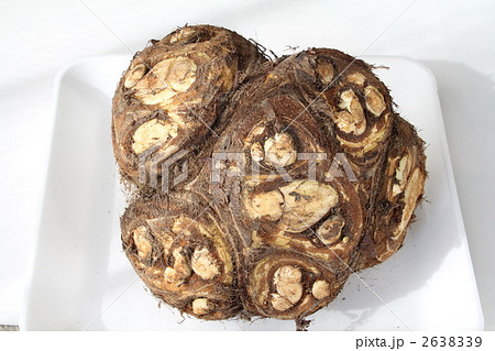 やつがしらの写真素材