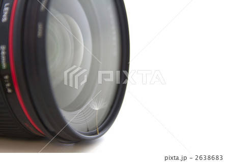 レンズとタンポポの種 レンズとタンポポの種 2638683