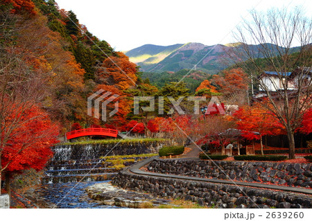 岐阜県下呂市雨情公園 岐阜県下呂市雨情公園 2639260