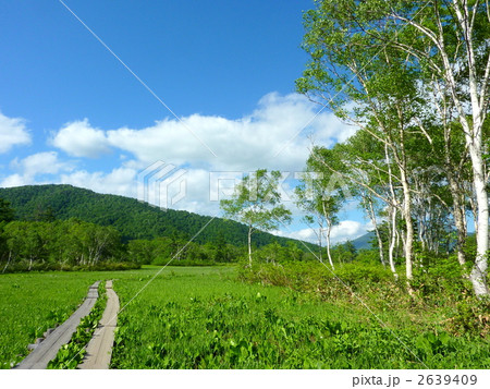 尾瀬国立公園　尾瀬ヶ原 2639409