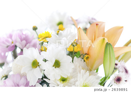 お供えの花 お供えの花 2639891