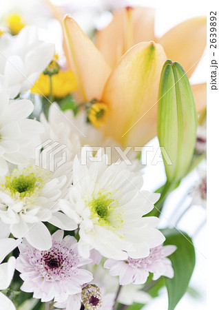 お供えの花 2639892