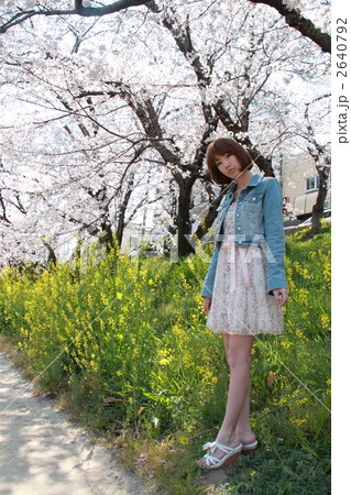 女性　春　桜 2640792