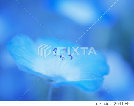 Blue Earth Science 2641040