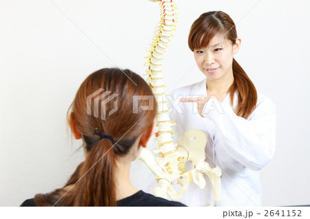 脊髄について患者に説明する整体師 2641152