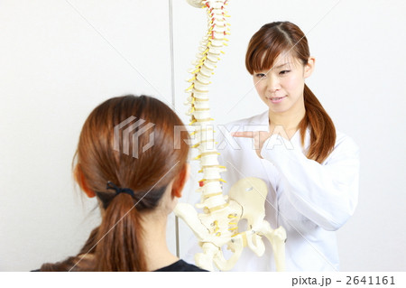 脊髄について患者に説明する整体師 脊髄について患者に説明する整体師 2641161