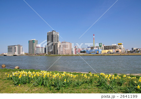 万代シテイと信濃川 2641199