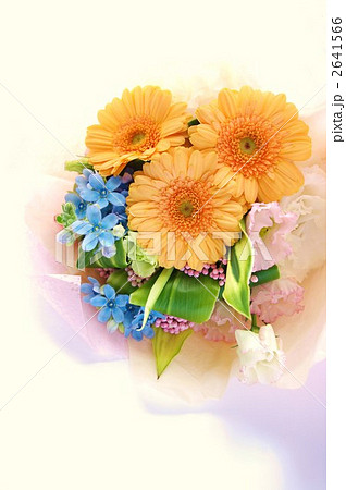 ガーベラの花束 ガーベラの花束 2641566