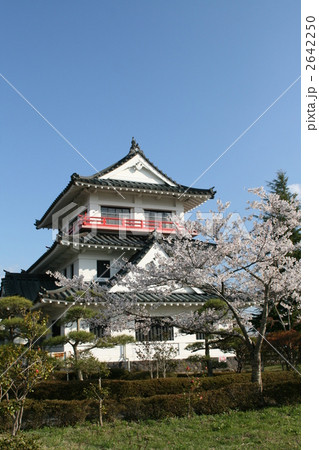 宮城県　涌谷城跡　桜 2642250