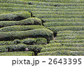2643395
