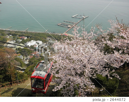 桜舞う須磨浦公園　「やまひこ号」（須磨浦ロープウェイ） 2644072