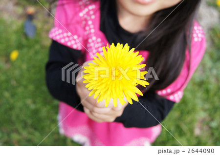 2644090