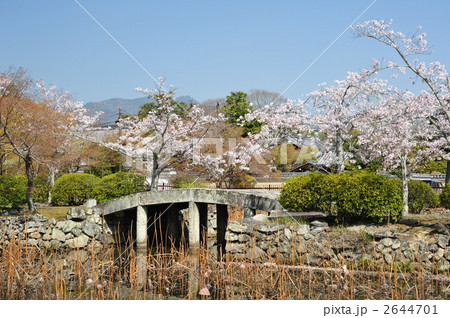 京都　天龍寺　石橋と池と桜 2644701