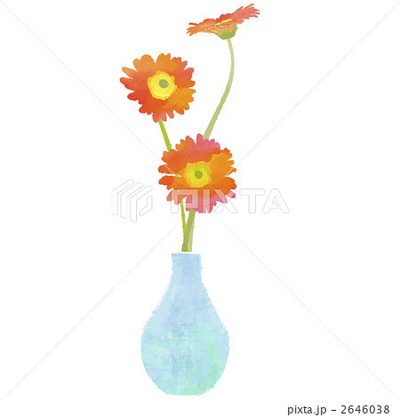 ガーベラ 花 植物のイラスト素材