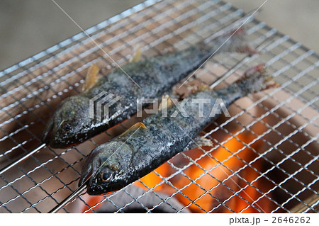 ヤマメの塩焼き ヤマメの塩焼き 2646262