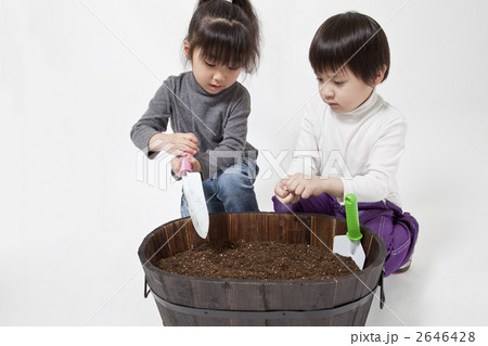 ガーデニングする子供たち 2646428