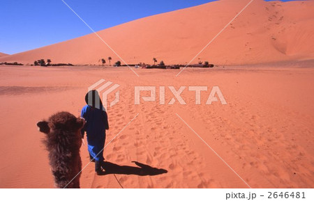 サハラ砂漠 サハラ砂漠 2646481