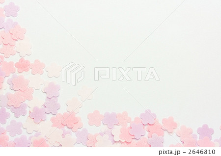 桜バスフラワーフレーム 2646810