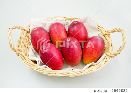 マンゴー 2646822