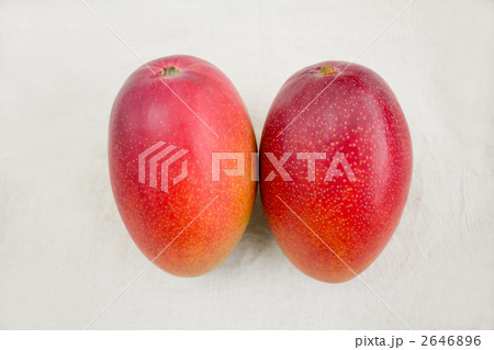 マンゴー 2646896