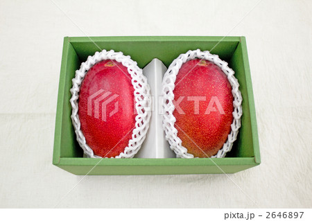 箱入りマンゴー 2646897