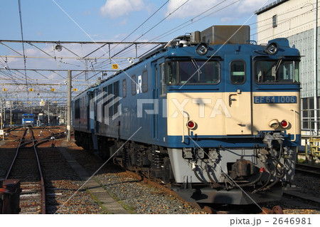 2646981