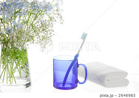 さわやかな朝 2646983