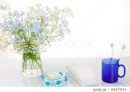 さわやかな朝 さわやかな朝 2647031