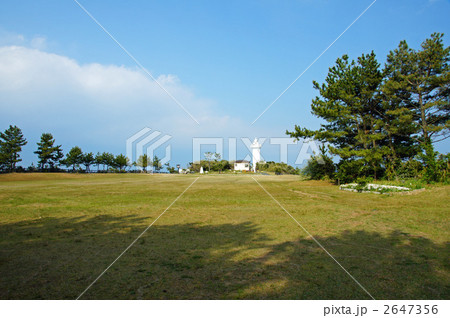 安乗崎園地 2647356