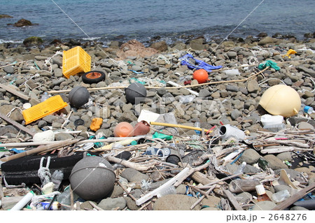海岸の漂着物 海岸の漂着物 2648276