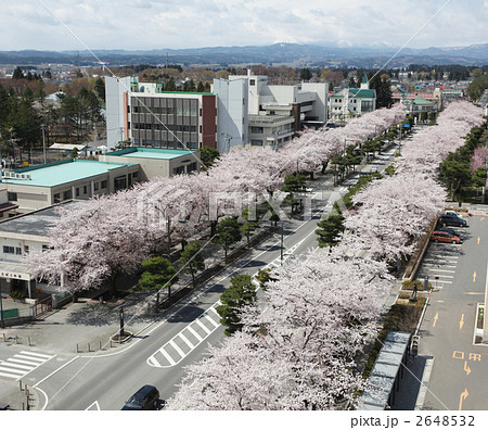 十和田官庁街の桜 2648532