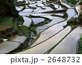 田植えが終わった棚田 2648732