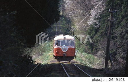 南部縦貫鉄道 2649108