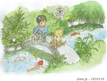 庭の鯉と少年と猫のイラスト素材