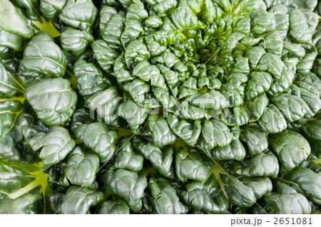 ターサイのアップ 2651081