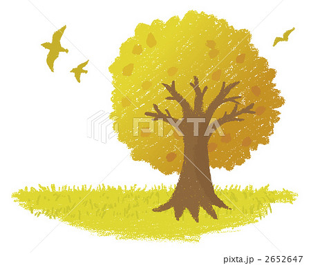 秋の木のイラスト素材 2652647 Pixta