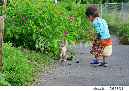 猫!大好き^^ 猫!大好き^^ 2653314
