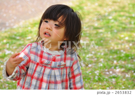 桜の木を見上げる女の子 2653832