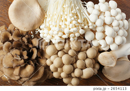 きのこいろいろ 2654113