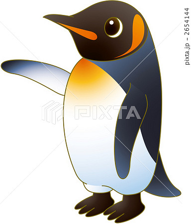 キングペンギン 右翼上のイラスト素材