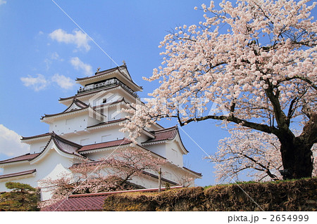 春の鶴ヶ城 春の鶴ヶ城 2654999