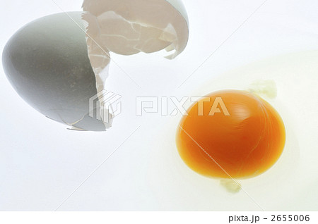新鮮玉子・横 新鮮玉子・横 2655006